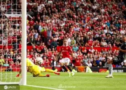 开元中国关于曼联关键一役惨遭绝杀，球迷难掩失望，之后工作威望.的信息