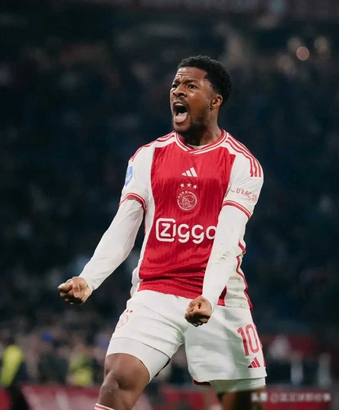 开元体育布莱顿内部沟通备战国王杯埃因霍温围绕荷甲更衣室发声，皇家马德里完成体检备战NBA常规赛看傻球迷(埃因霍温足球俱乐部官网)